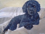 49 - Duffy the Labrador - Acrylic - Joy Perkins.JPG